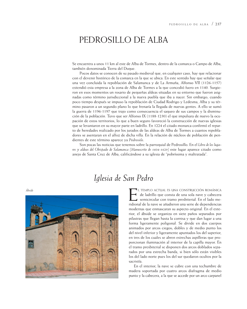 Pedrosillo De Alba 14/2/08 11:35 Página 237