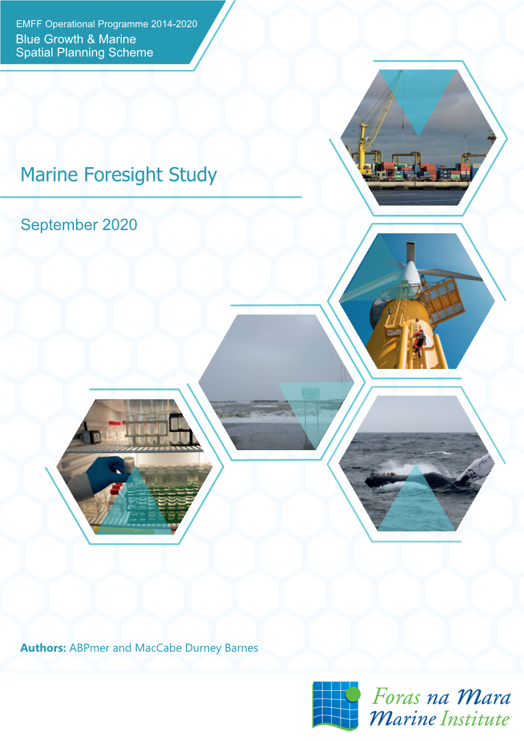 Marine Foresight Study
