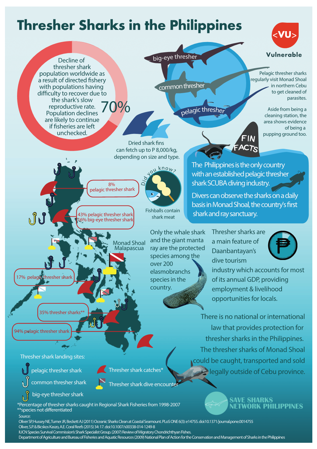 Thresher Sharks in the Philippines