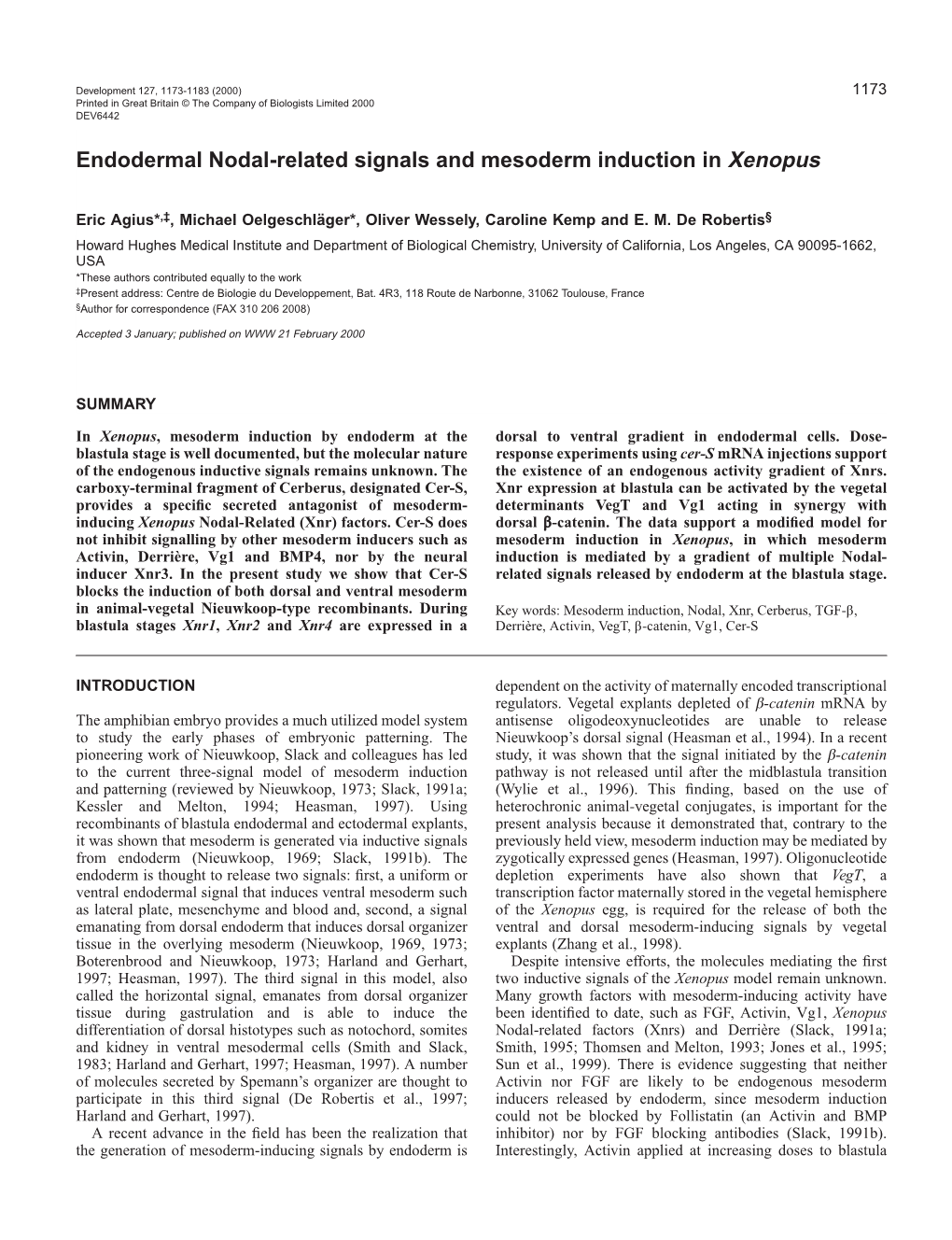 Endodermal Nodal-Related Signals and Mesoderm Induction in Xenopus