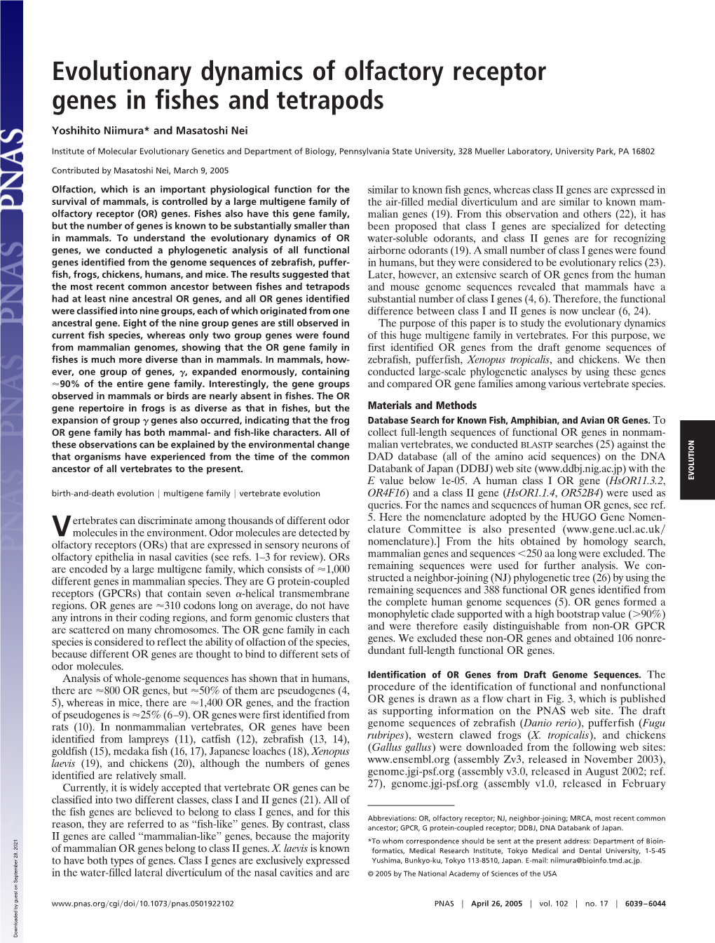 Evolutionary Dynamics of Olfactory Receptor Genes in Fishes and Tetrapods