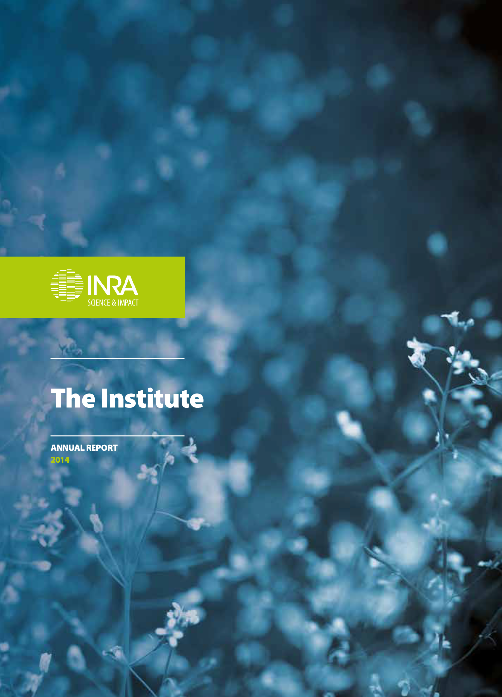 Annual Report : the Institute