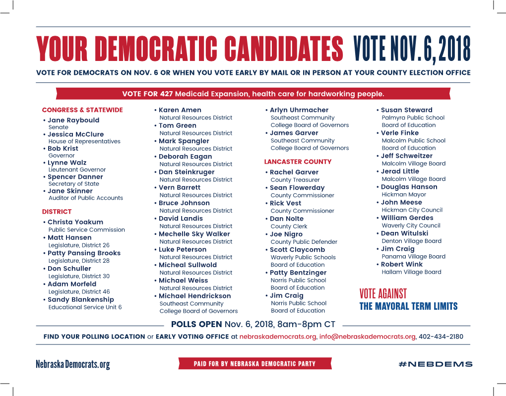 Your Democratic Candidates Vote Nov