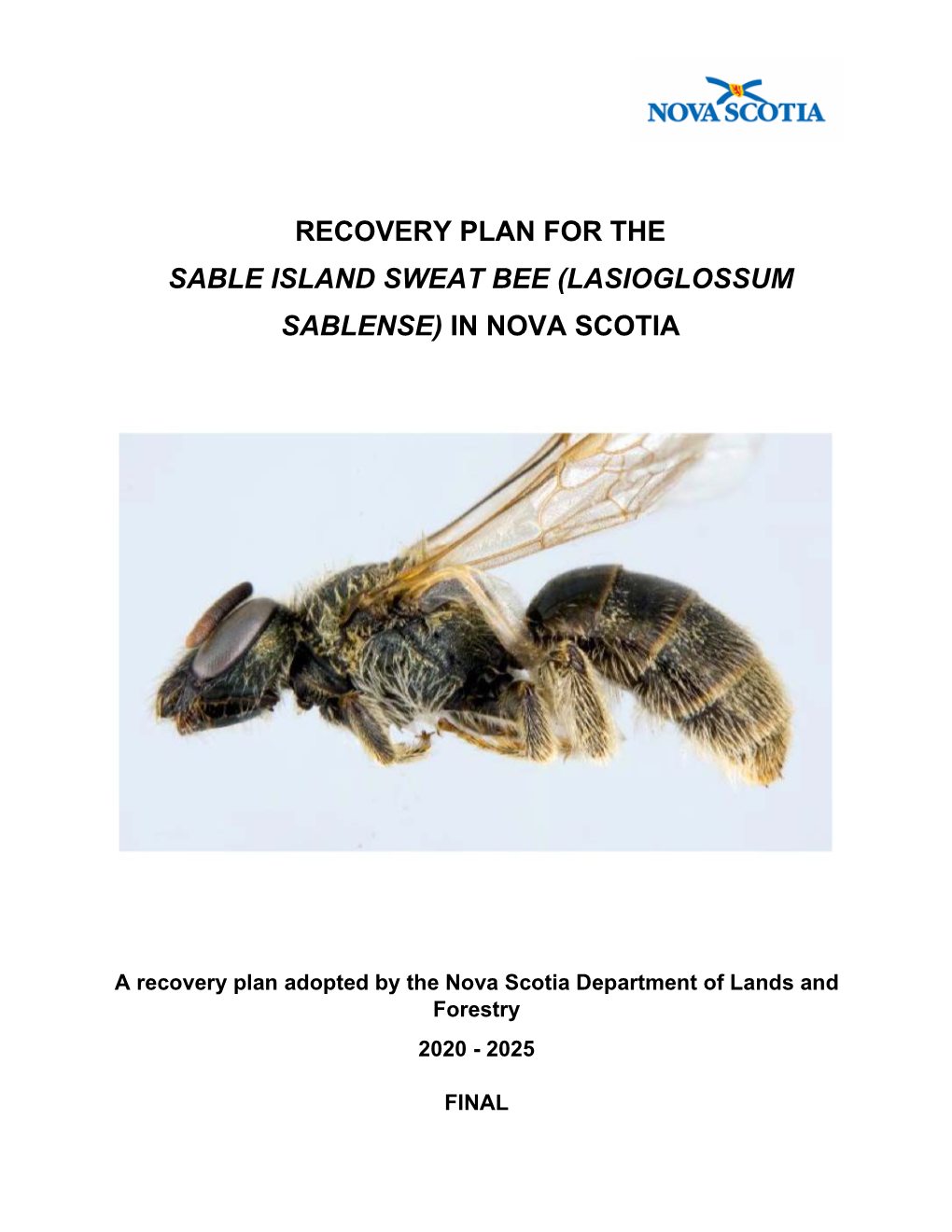 Recovery Plan for the Sable Island Sweat Bee (Lasioglossum Sablense) in Nova Scotia