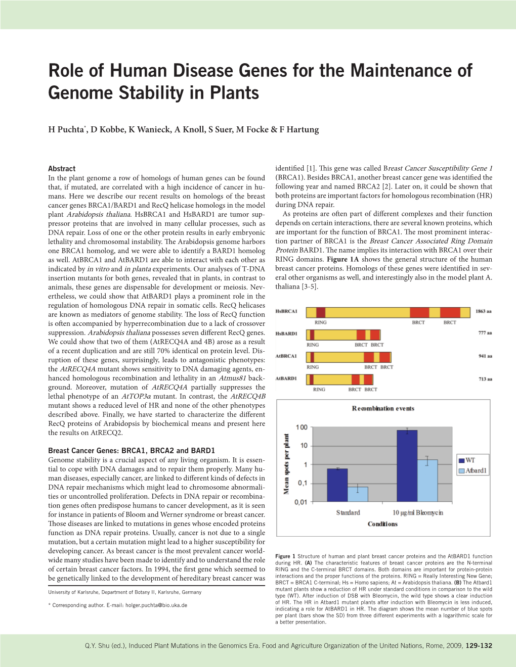 Role of Human Disease Genes for the Maintenance of Genome Stability in Plants