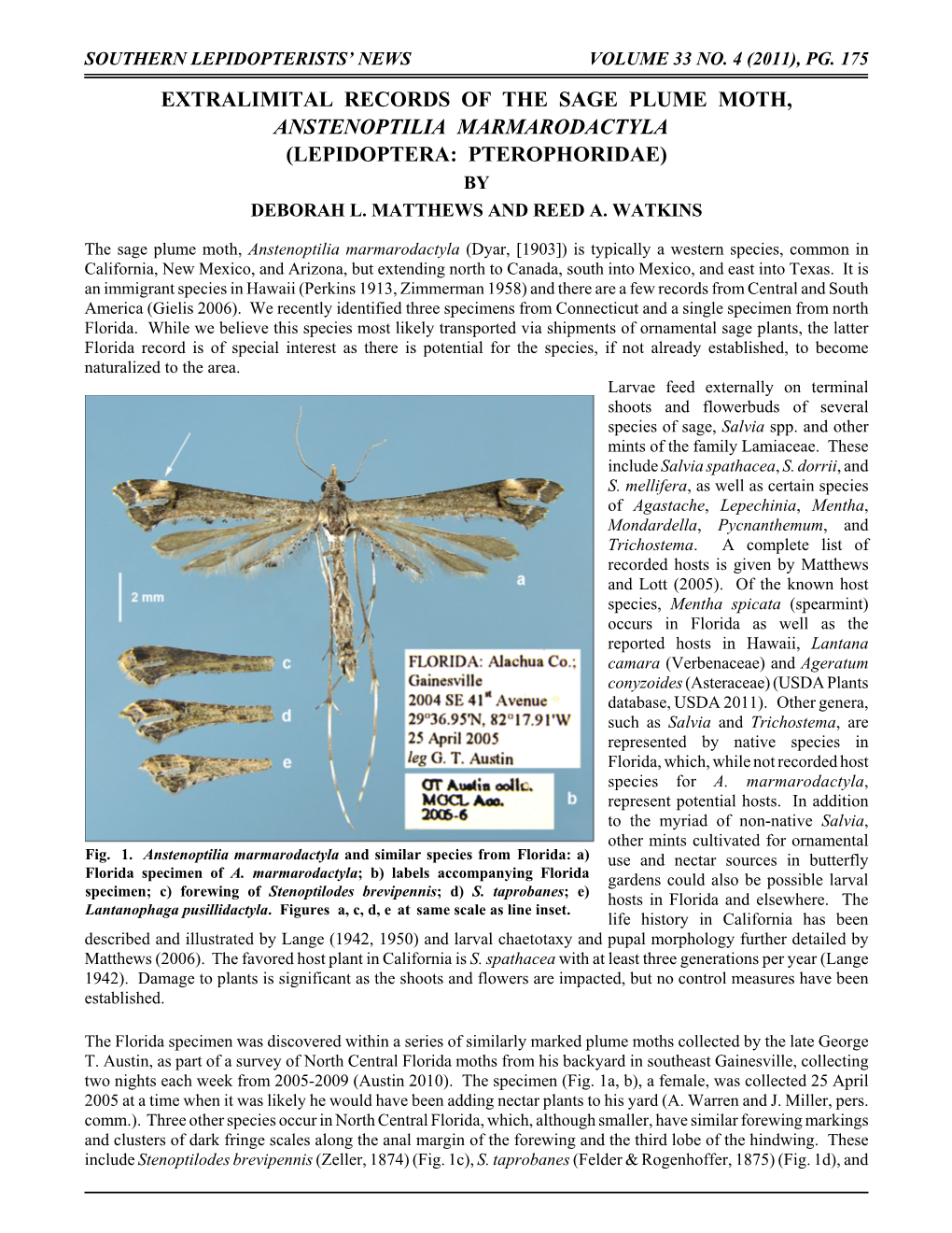 Extralimital Records of the Sage Plume Moth, Anstenoptilia Marmarodactyla (Lepidoptera: Pterophoridae) by Deborah L