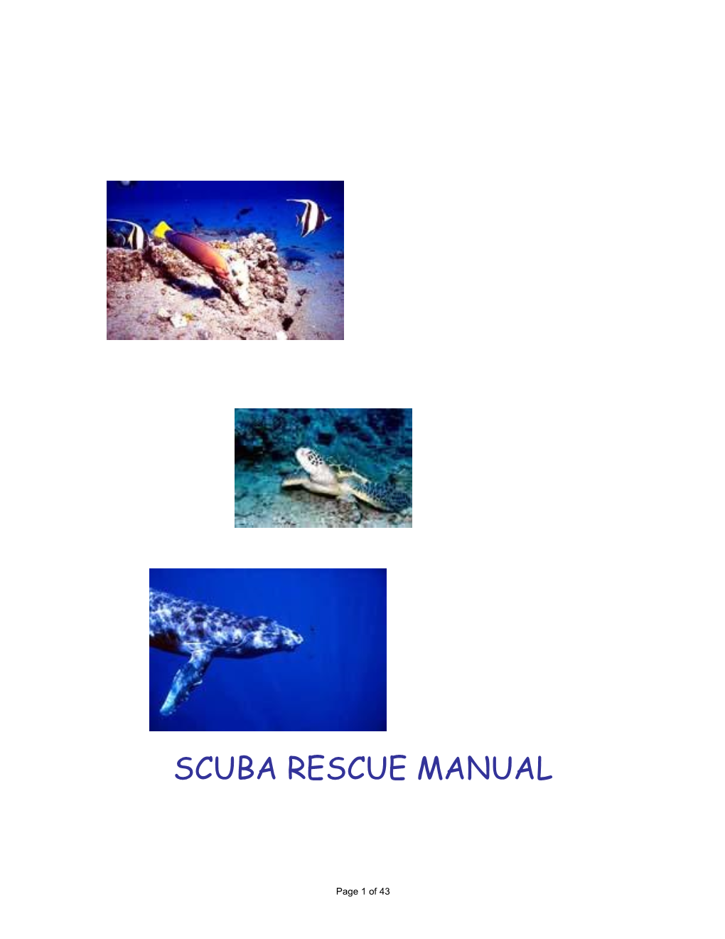 Scuba Rescue Manual