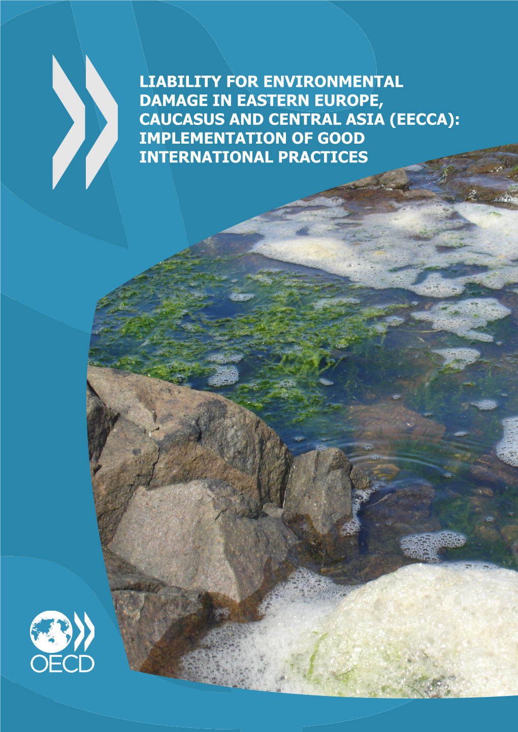 Liability for Environmental Damage in Eastern Europe, Caucasus and Central Asia (Eecca): Implementation of Good International Practices