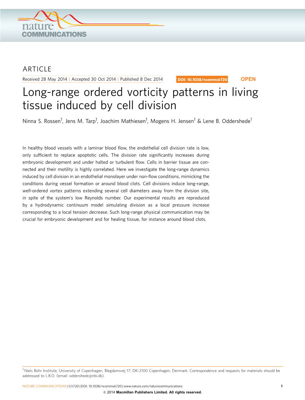 Long-Range Ordered Vorticity Patterns in Living Tissue Induced by Cell Division