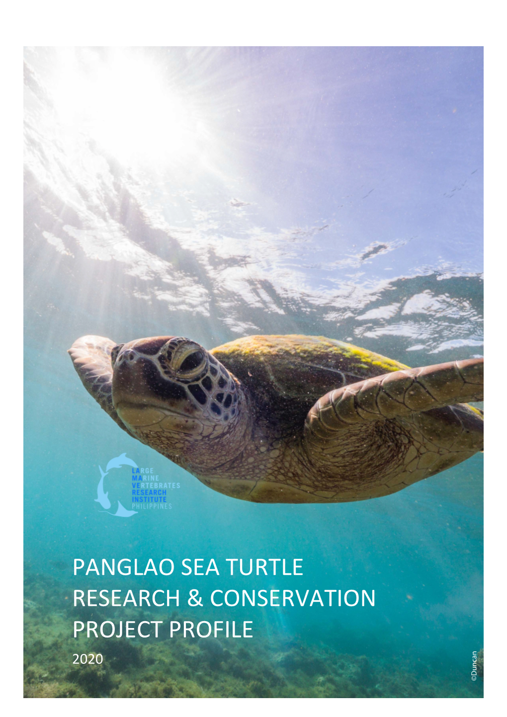 Panglao Sea Turtle Research & Conservation Project