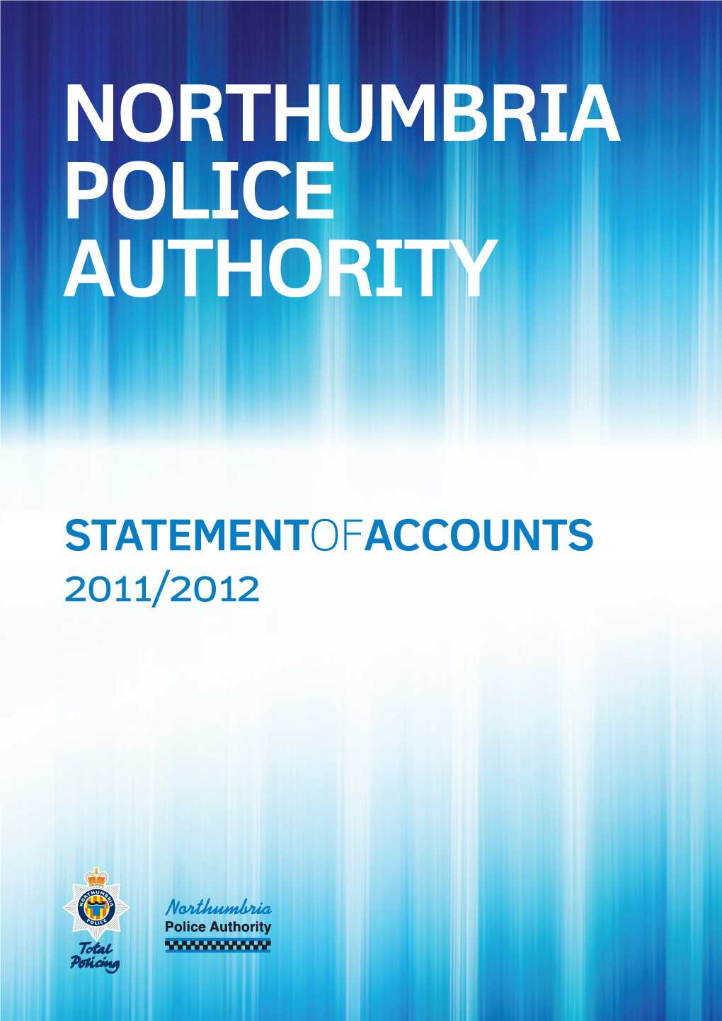 Statement of Accounts (PDF)
