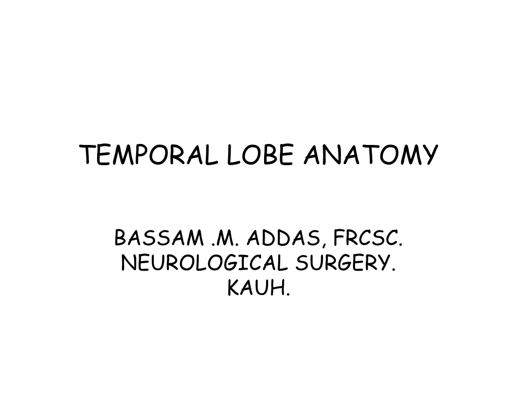 FN1 (Addas) Temporal Lobe Anatomy-Optim.Pdf