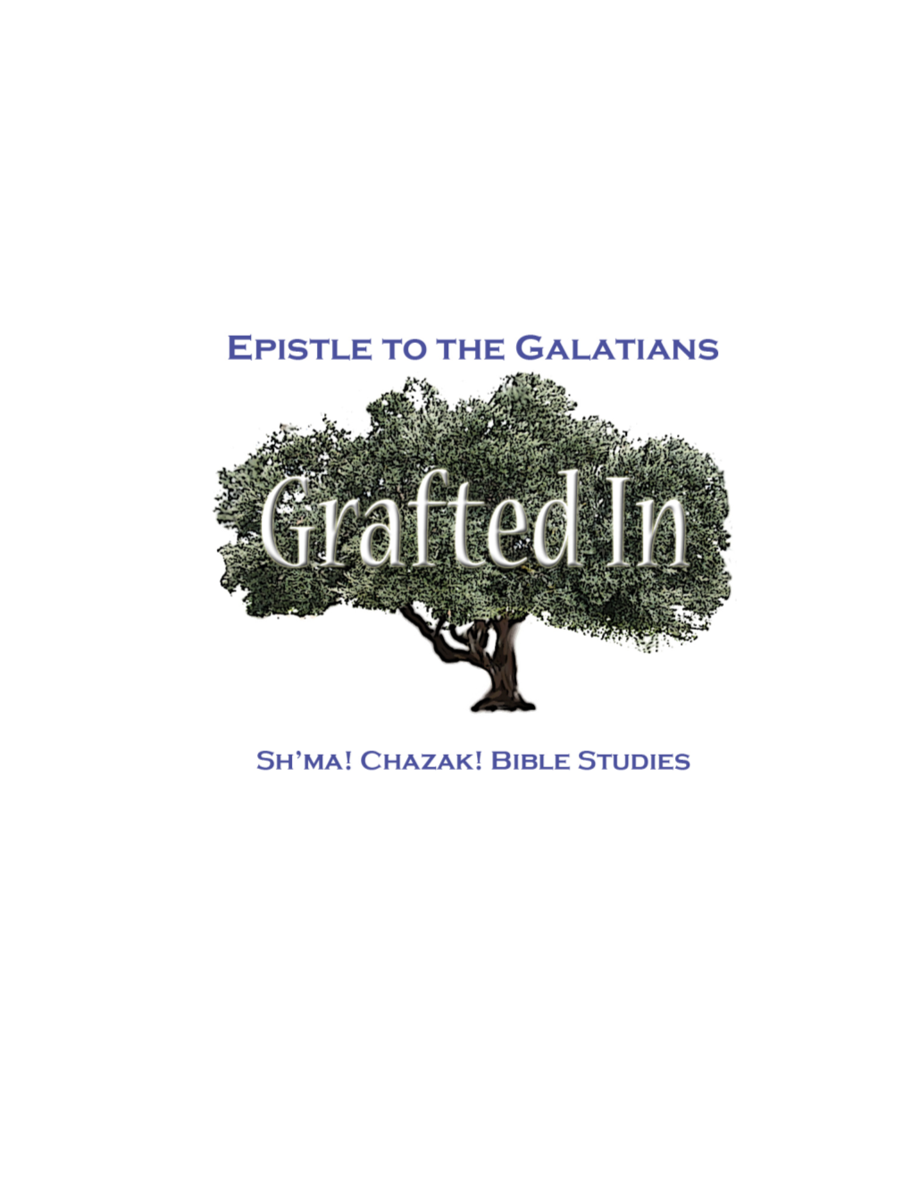 The Study on Galatians