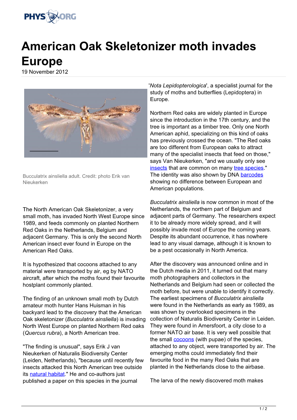 American Oak Skeletonizer Moth Invades Europe 19 November 2012