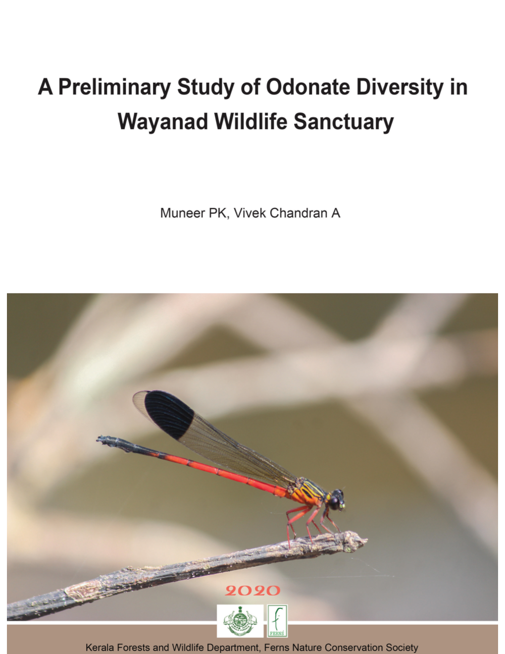 A Preliminary Study of Odonate Diversity in Wayanad Wildlife Sanctuary