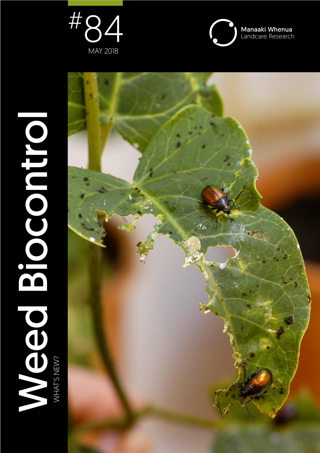 Weed Biocontrol Issue 84