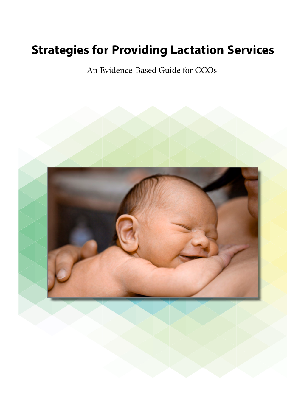 Strategies for Providing Lactation Services an Evidence-Based Guide for Ccos Authors