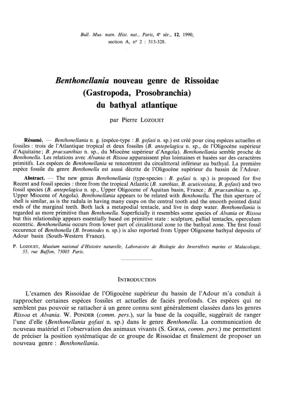 Bent Hone Hani a Nouveau Genre De Rissoidae (Gastropoda, Prosobranchia) Du Bathyal Atlantique
