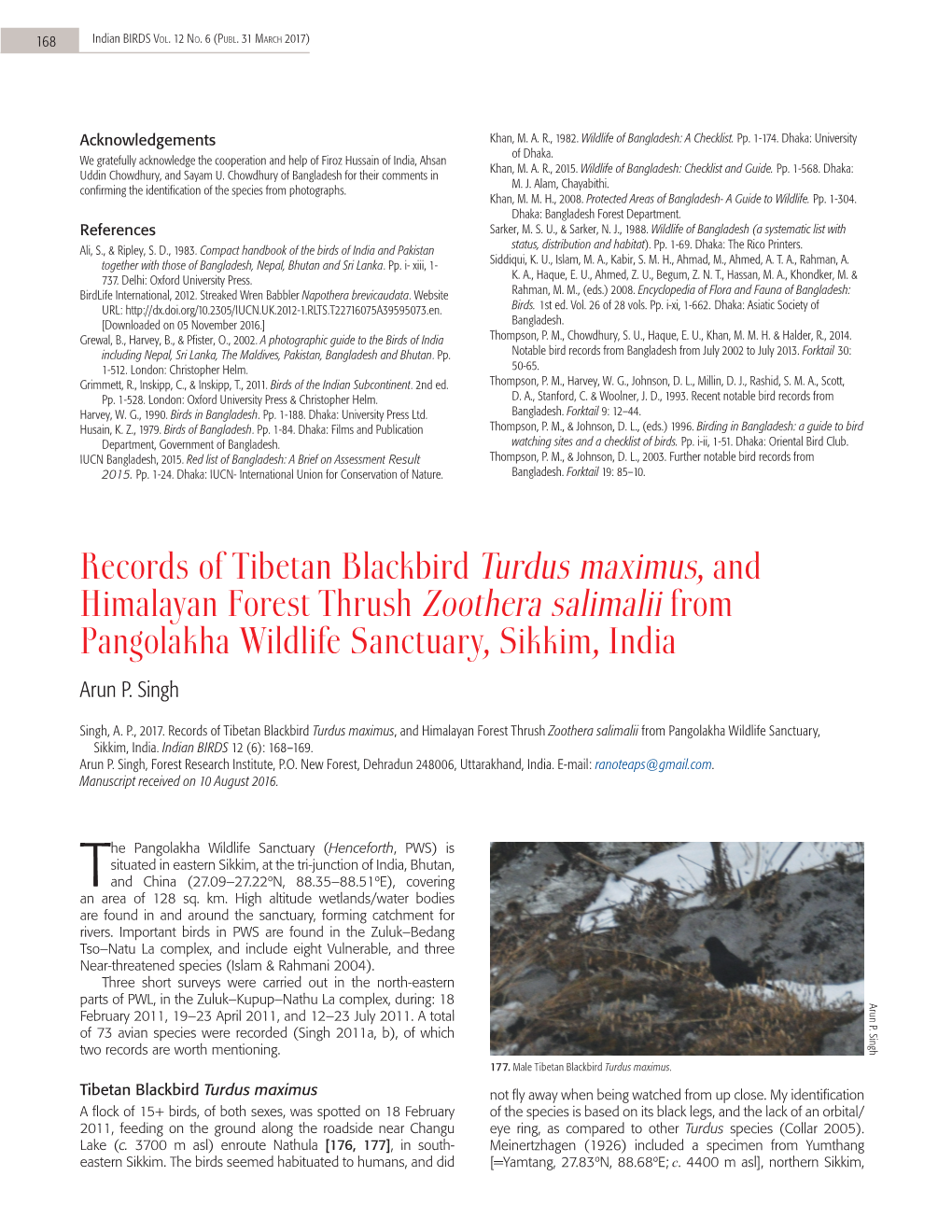 Records of Tibetan Blackbird Turdus Maximus, and Himalayan Forest Thrush Zoothera Salimalii from Pangolakha Wildlife Sanctuary, Sikkim, India Arun P