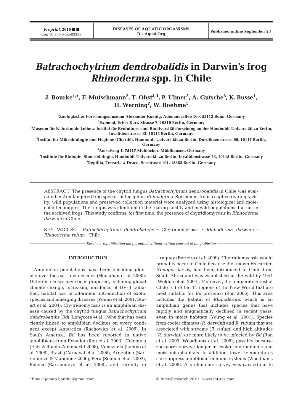 Batrachochytrium Dendrobatidis in Darwin's Frog Rhinoderma Spp. In