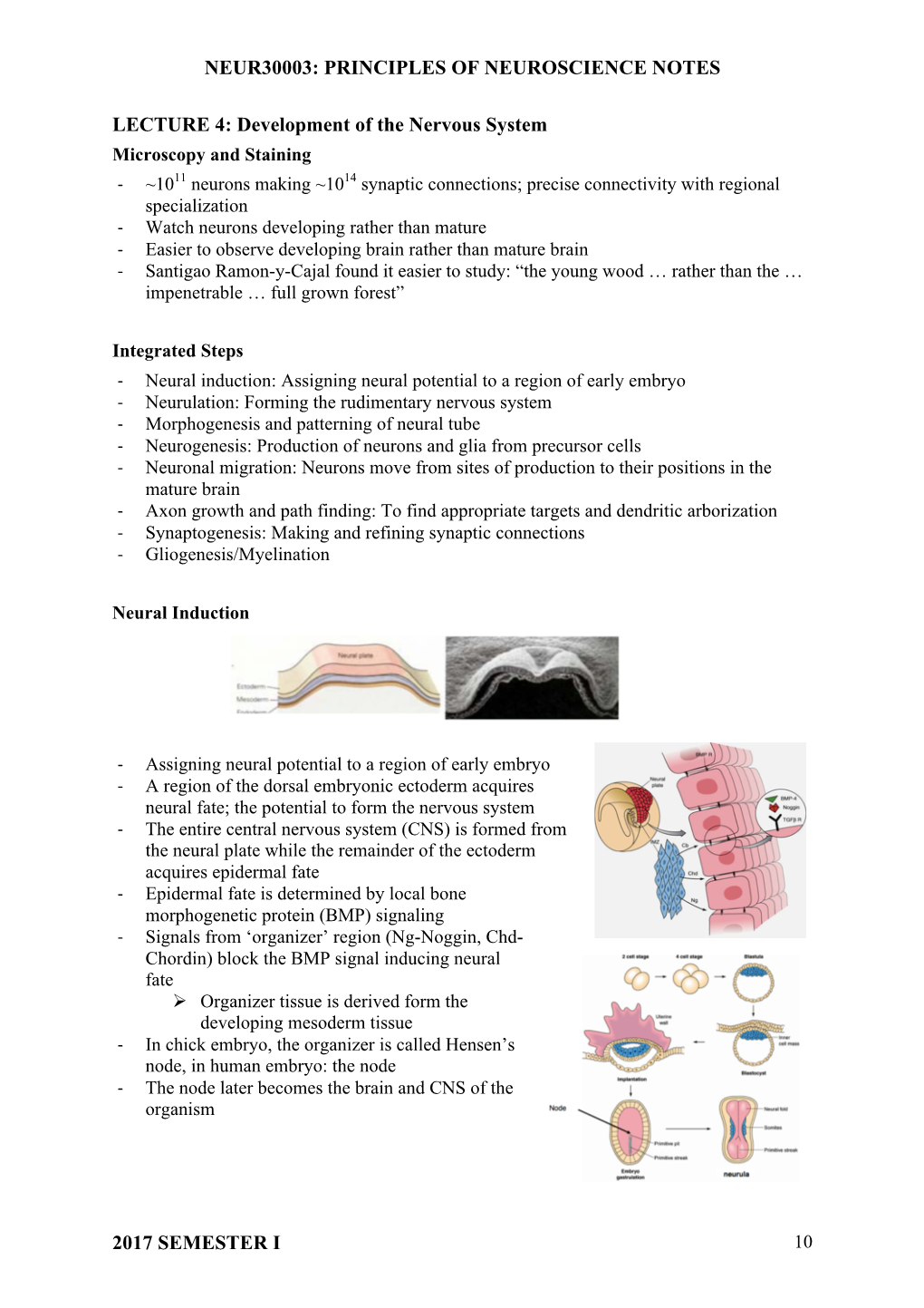 PRINCIPLES of NEUROSCIENCE NOTES 2017 SEMESTER I LECTURE 4: Development of the Nervous System