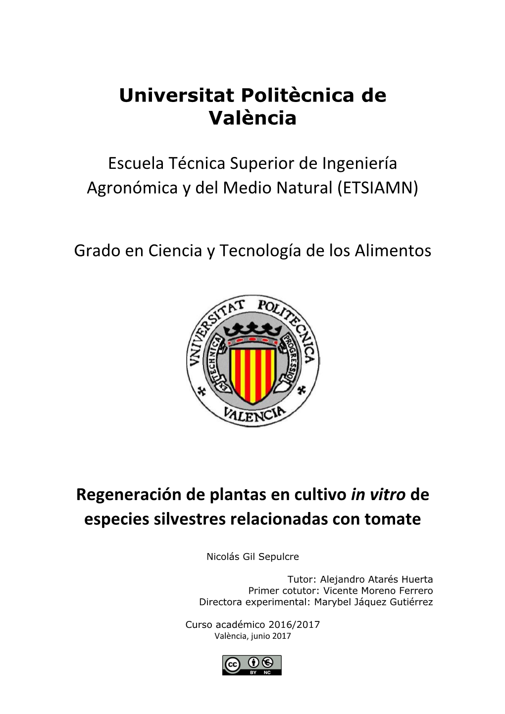 Universitat Politècnica De València