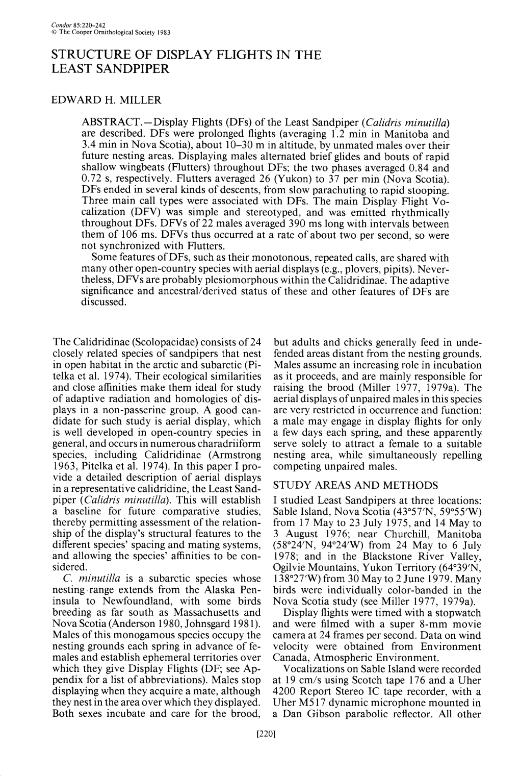 Structure of Display Flights in the Least Sandpiper