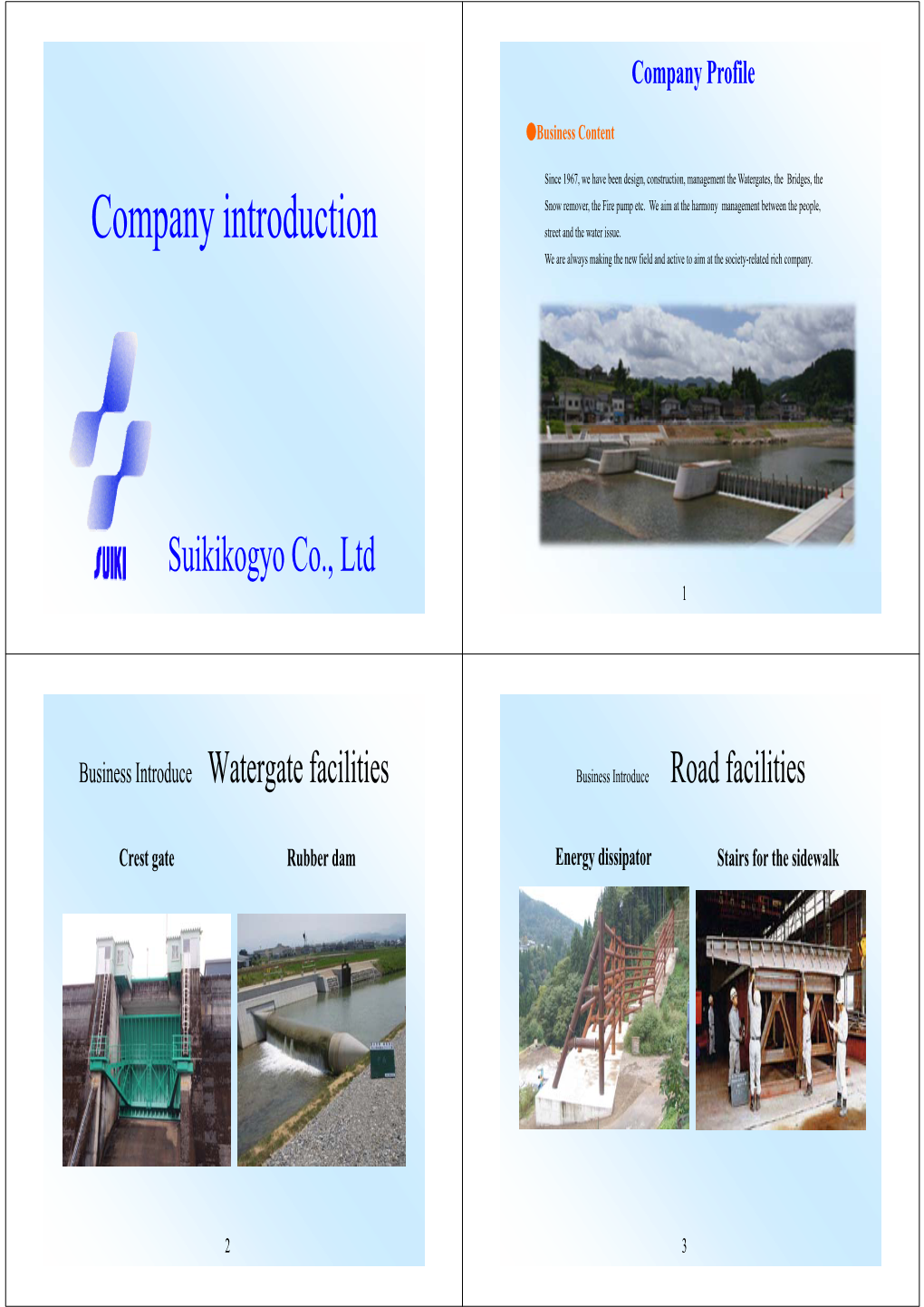 Company Introduction Street and the Water Issue