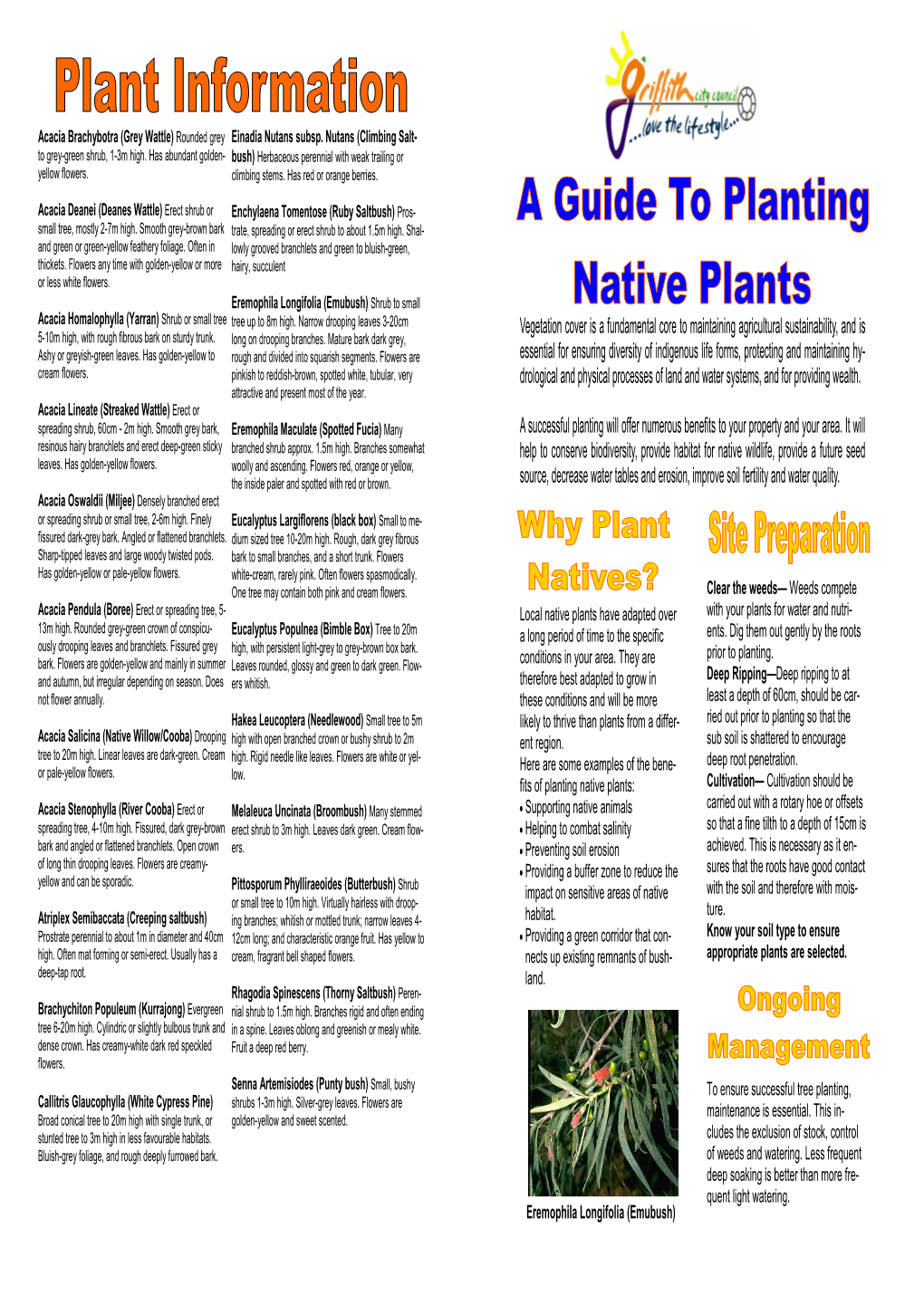 A Guide to Planting Natives