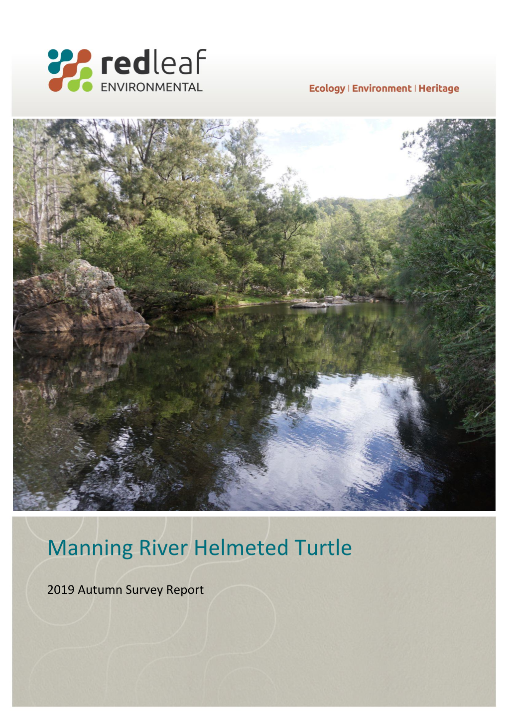 Manning River Helmeted Turtle