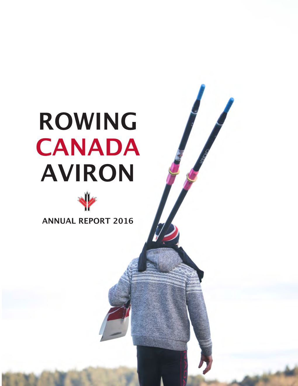 2016 Annual Report