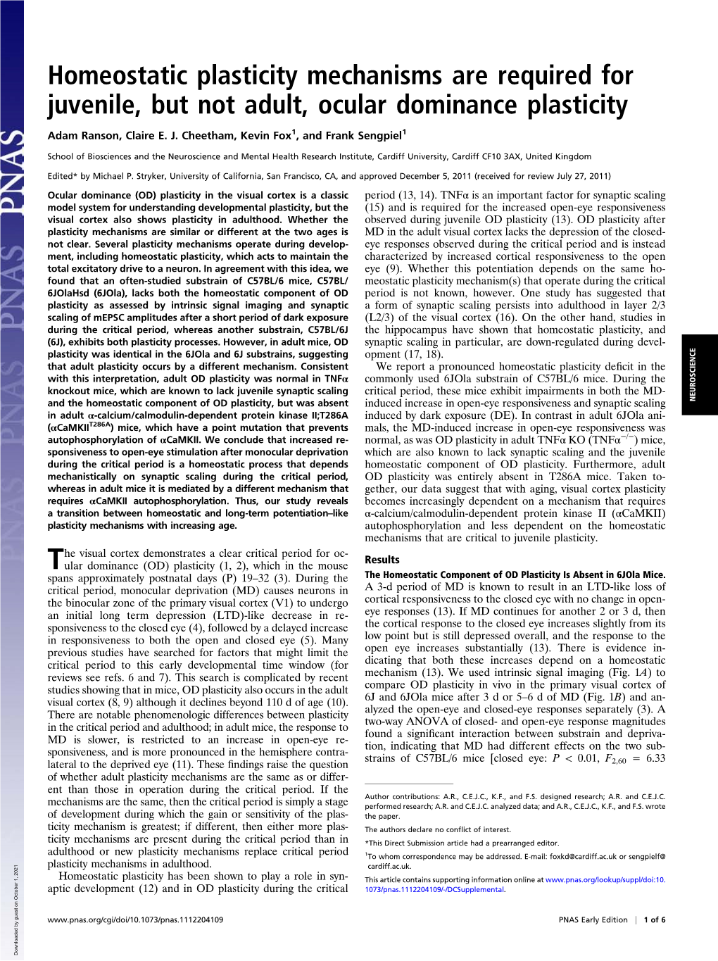 Homeostatic Plasticity Mechanisms Are Required for Juvenile, but Not Adult, Ocular Dominance Plasticity