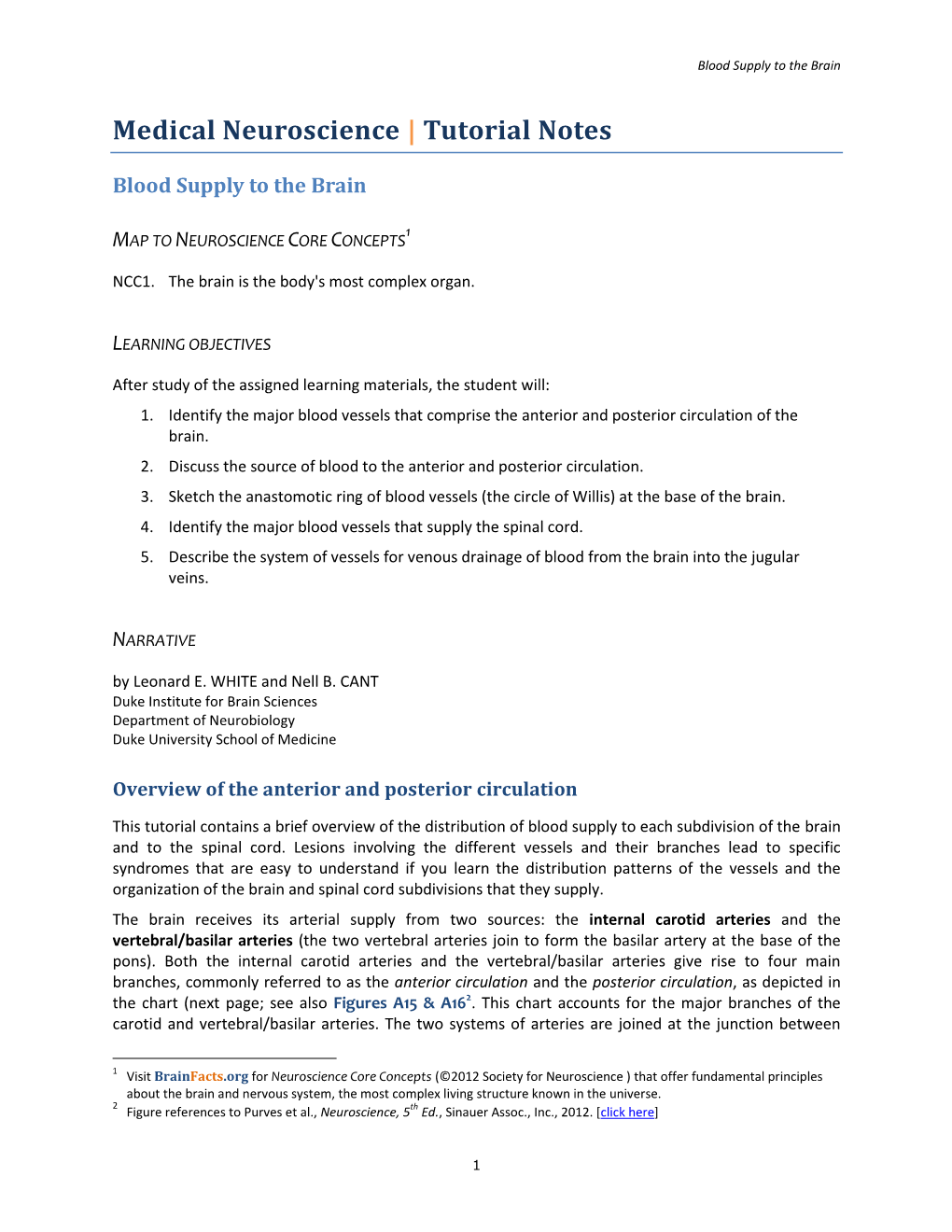 01 10 Blood Supply to the Brain-NOTES.Pdf