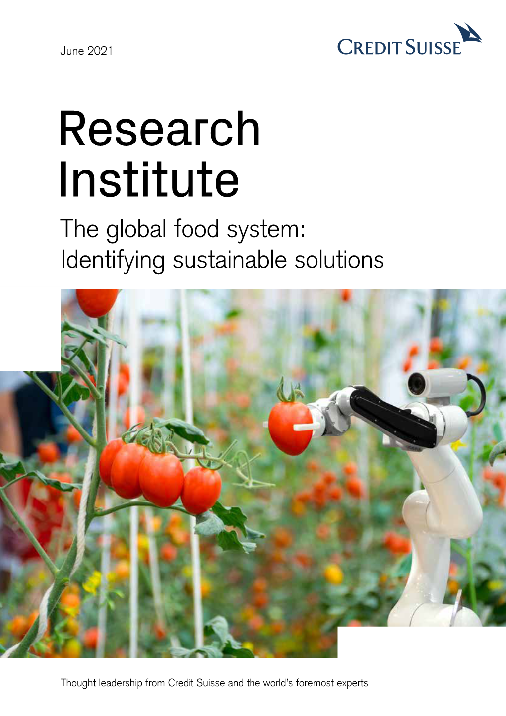 The Global Food System: Identifying Sustainable Solutions