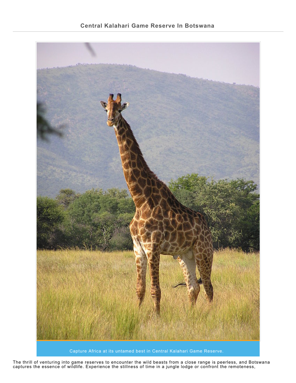 Central Kalahari Game Reserve in Botswana