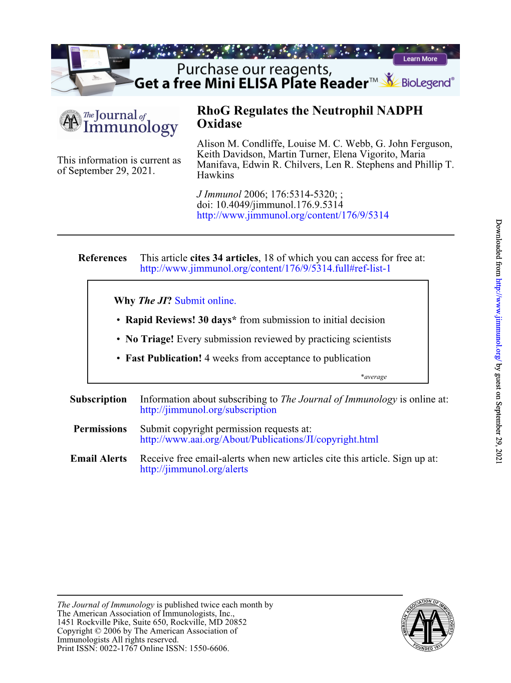 Oxidase Rhog Regulates the Neutrophil NADPH