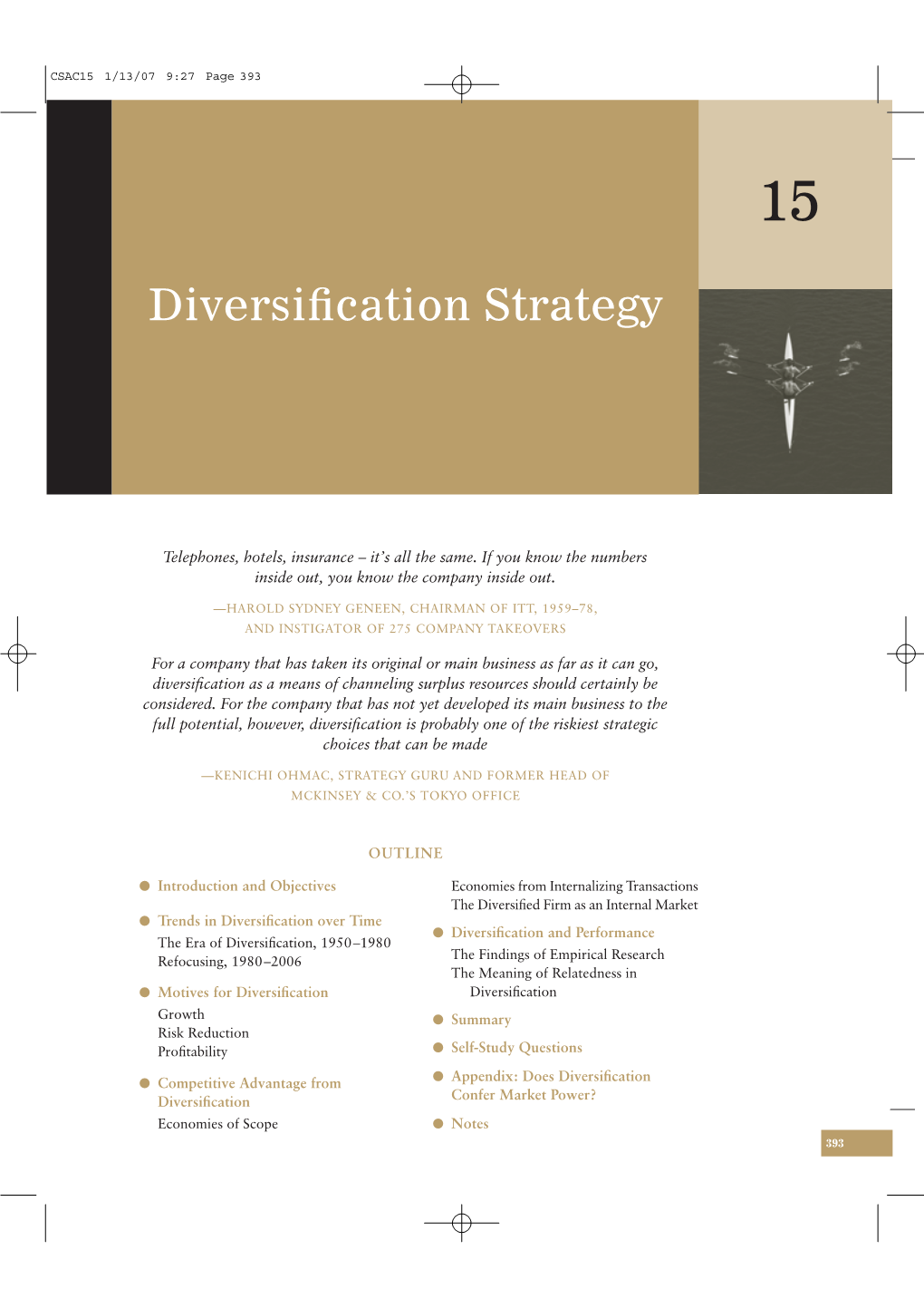 Diversification Strategy 395