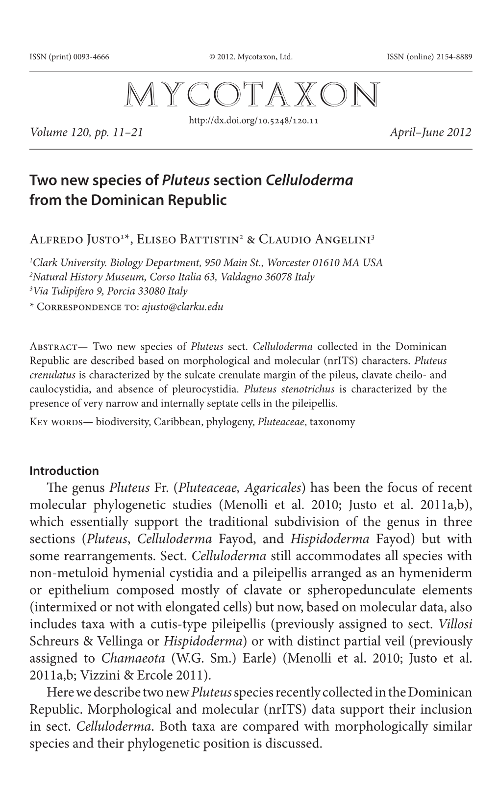 &lt;I&gt;Pluteus&lt;/I&gt; Section