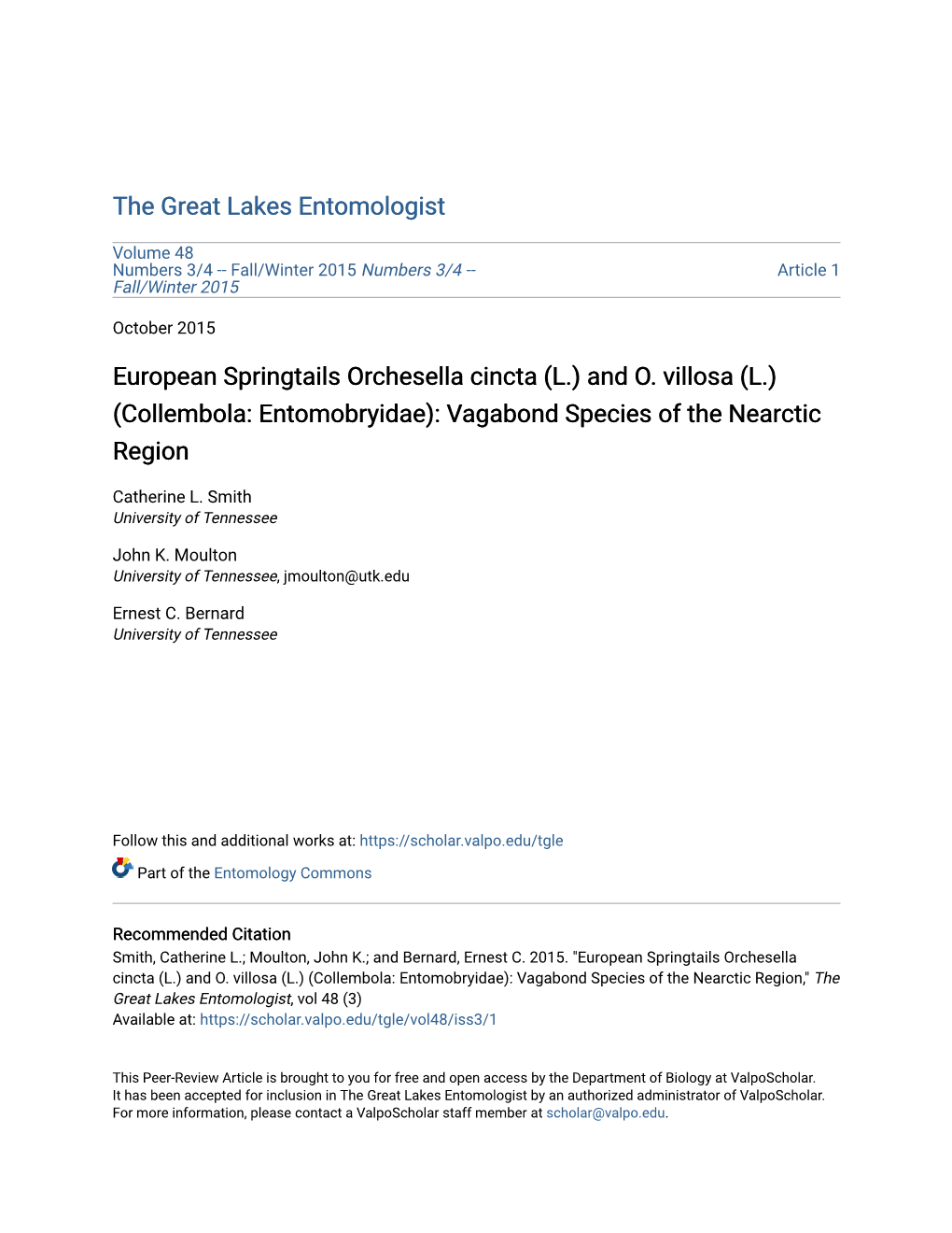 European Springtails Orchesella Cincta (L.) and O