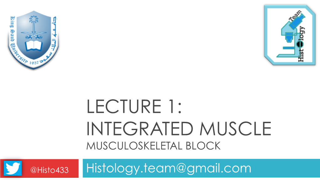 Integrated Muscle Musculoskeletal Block