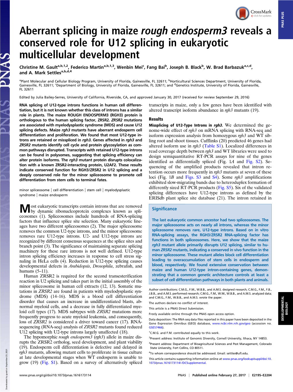 Aberrant Splicing in Maize Rough Endosperm3 Reveals a Conserved