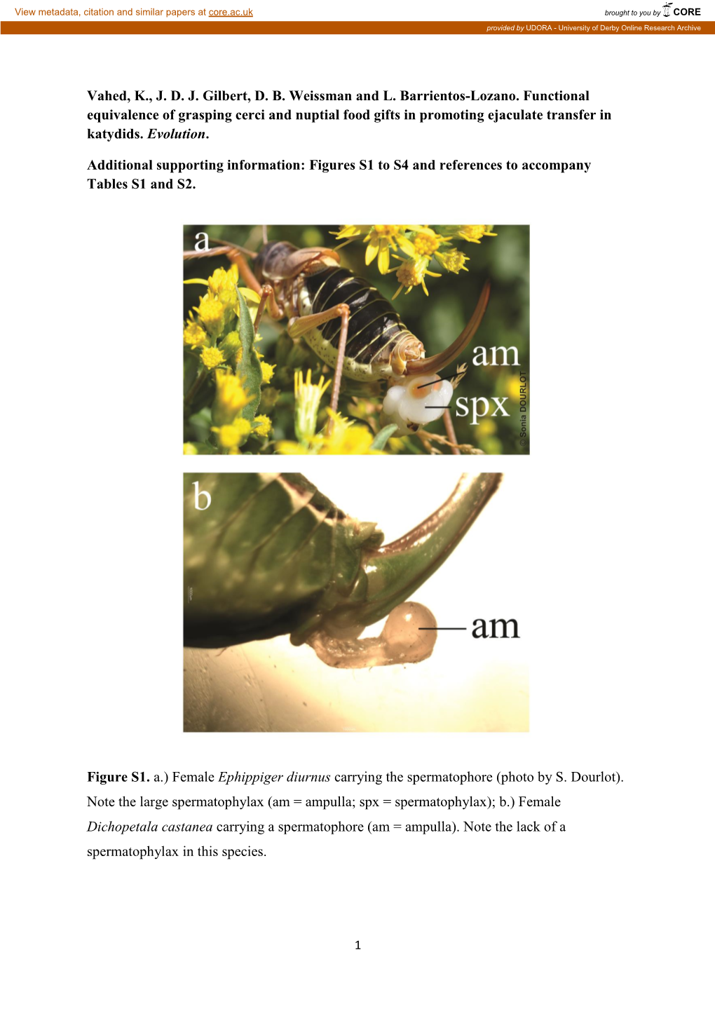 Vahed, K., J. D. J. Gilbert, D. B. Weissman and L. Barrientos-Lozano. Functional Equivalence of Grasping Cerci and Nuptial Food