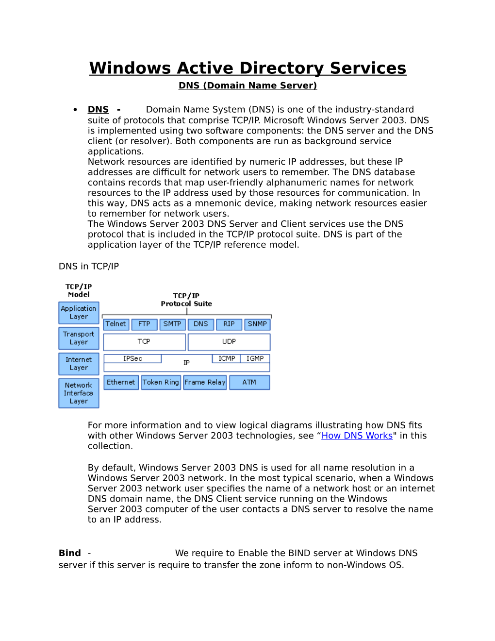 Windows Active Directory Services DNS (Domain Name Server)