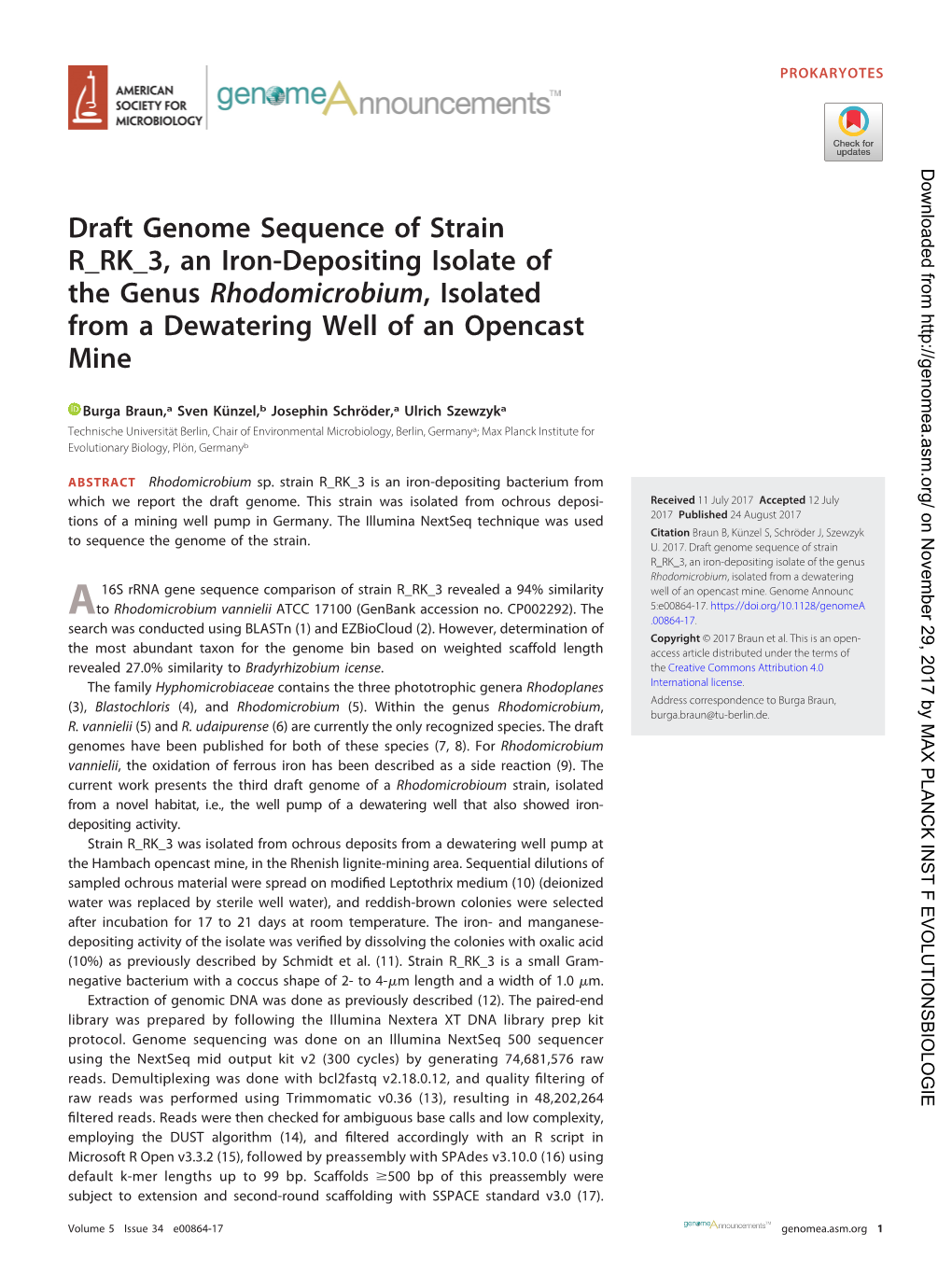 Draft Genome Sequence of Strain R RK 3, an Iron-Depositing Isolate