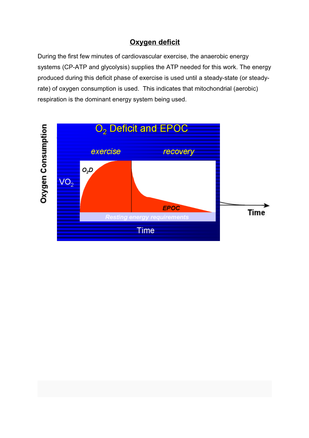 Rest to Exercise Transitions