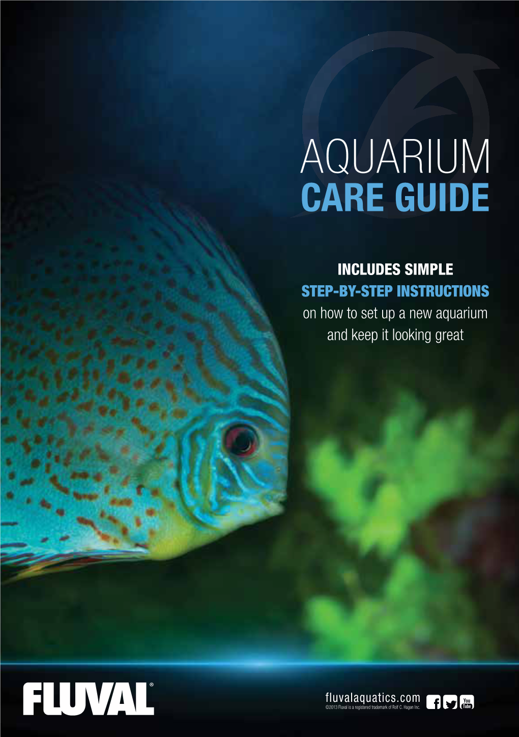 Aquarium Care Guide