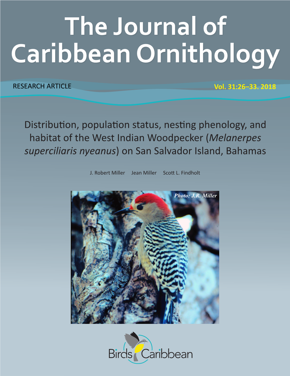 Caribbean Ornithology