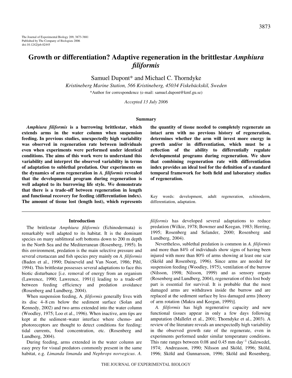 Adaptive Regeneration in the Brittlestar Amphiura Filiformis