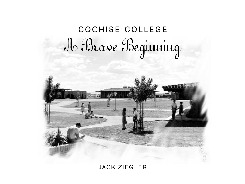 A Brave Beginning (PDF)