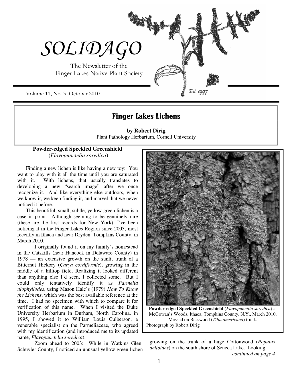SOLIDAGO the Newsletter of The